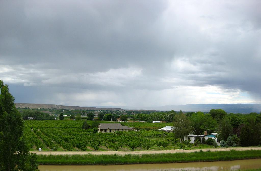 Wine Country Inn Palisade Exterior photo