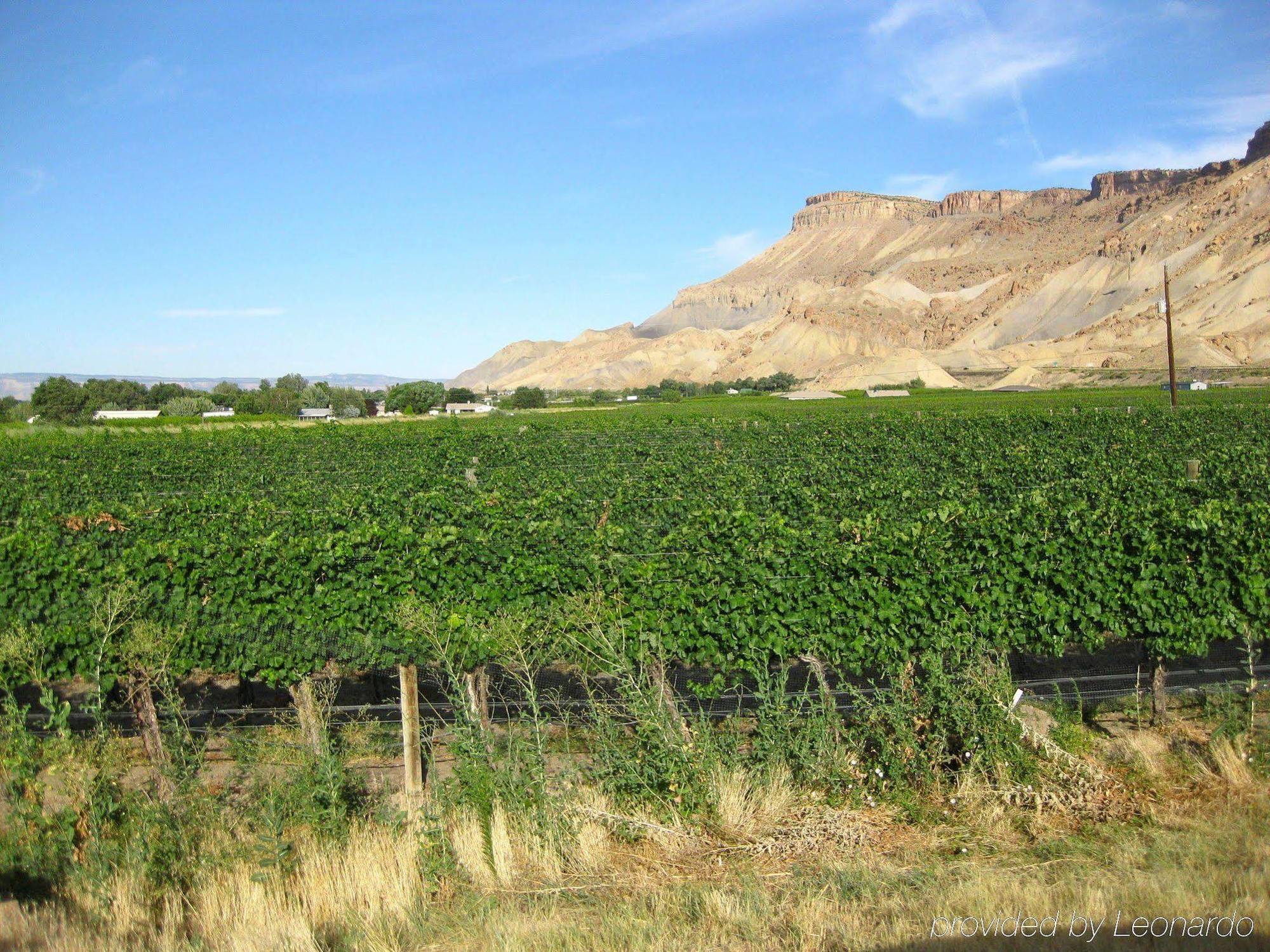Wine Country Inn Palisade Exterior photo